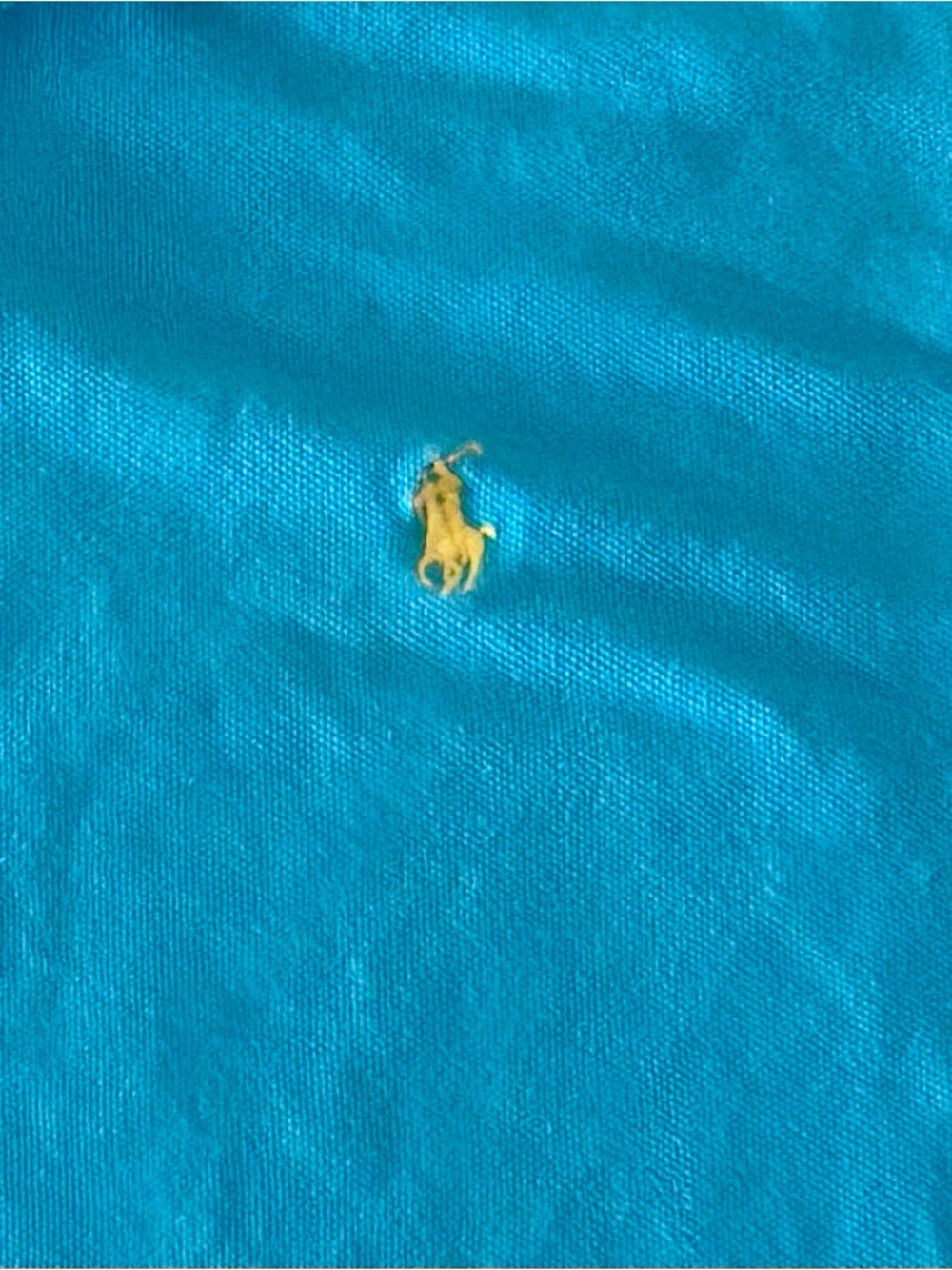 Polo by Ralph Lauren Kids Polo - Teal with Yellow Pony